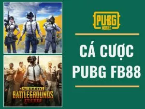 hướng dẫn chi tiết cách chơi cá cược pubg fb88