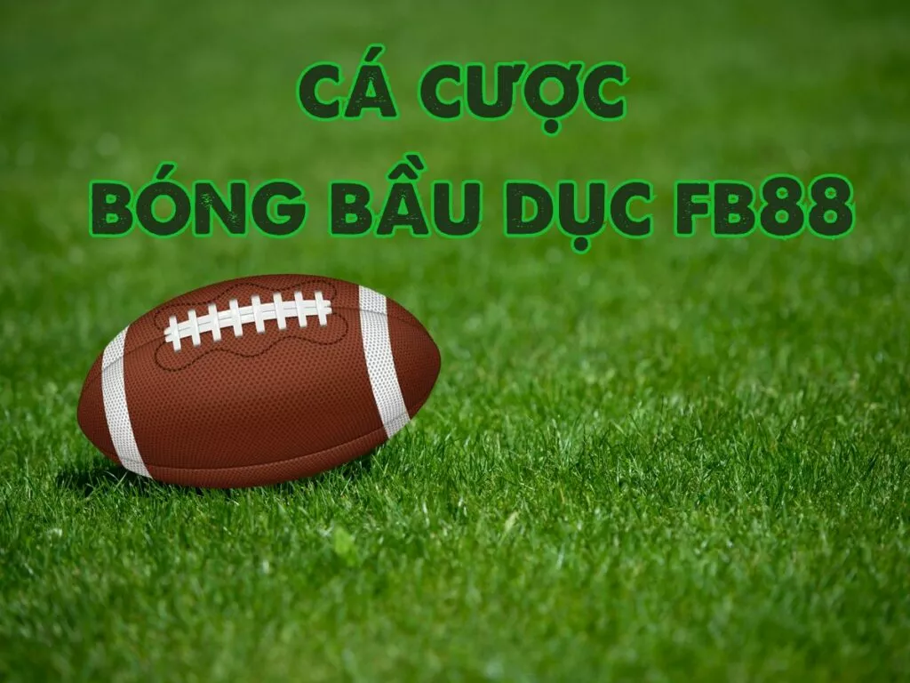 Hướng dẫn các bước chơi cá cược bóng bầu dục Fb88