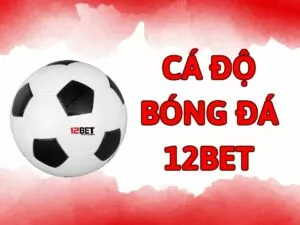 hướng dẫn chi tiết cách chơi cá độ bóng đá 12bet